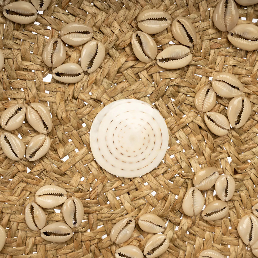 From Caribe Shell Plate - Natural White - M