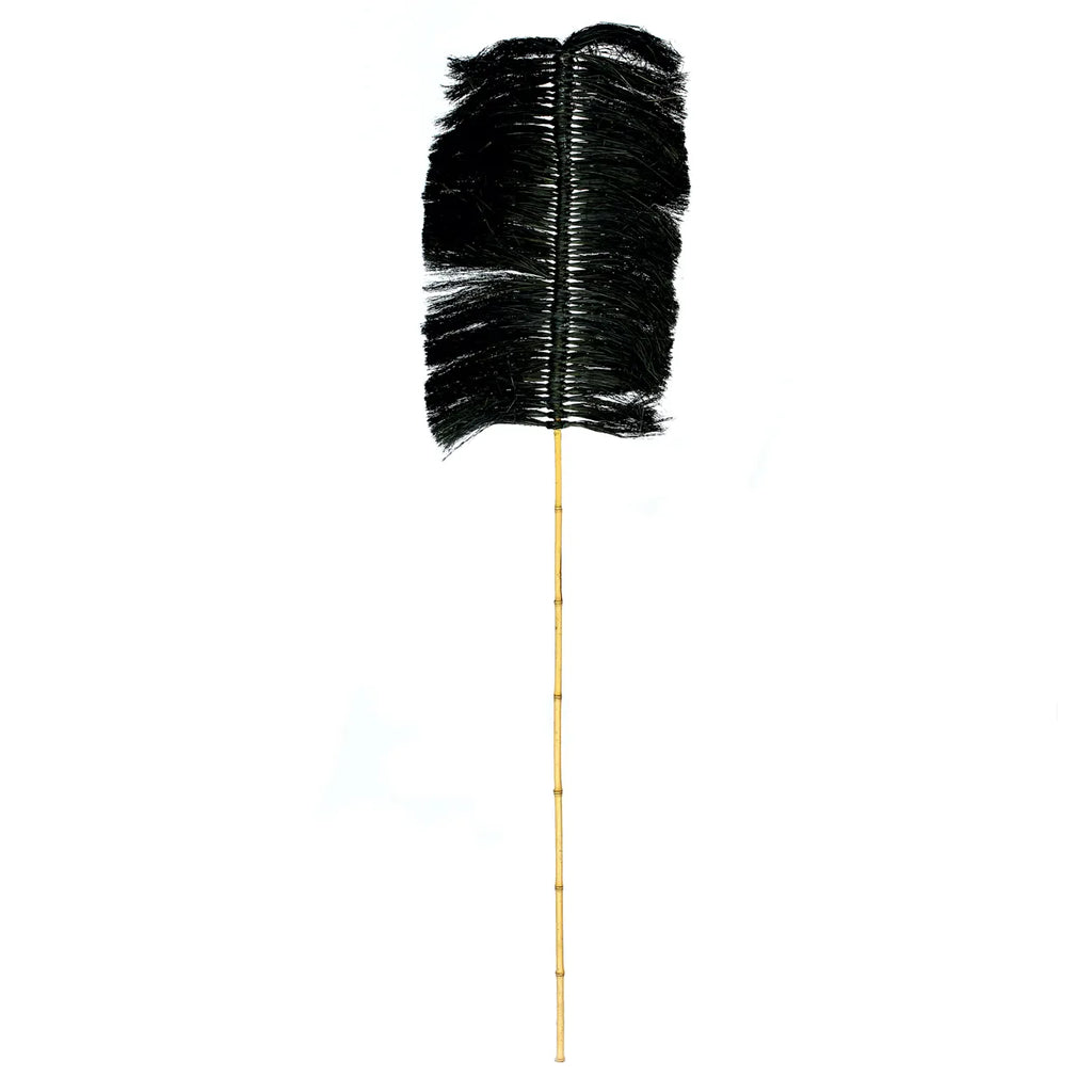 The Raffia Palm - Black